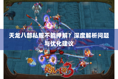 天龙八部私服不能押解？深度解析问题与优化建议