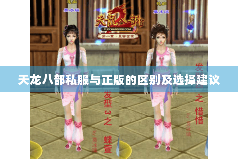 天龙八部私服与正版的区别及选择建议