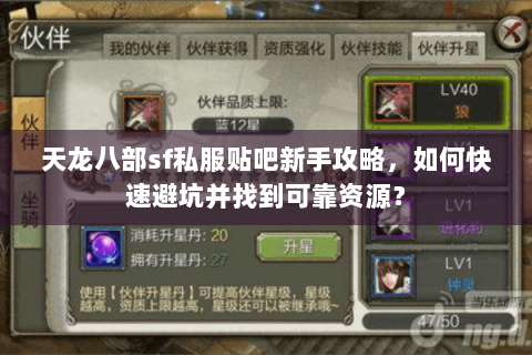 天龙八部sf私服贴吧新手攻略，如何快速避坑并找到可靠资源？