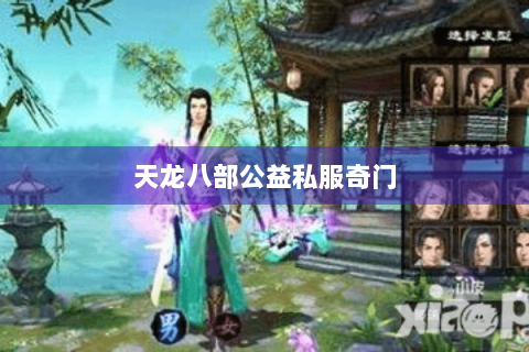 天龙八部公益私服奇门