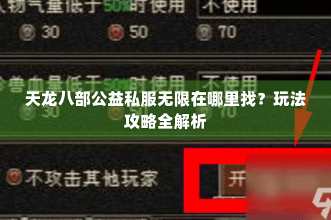 天龙八部公益私服无限在哪里找？玩法攻略全解析