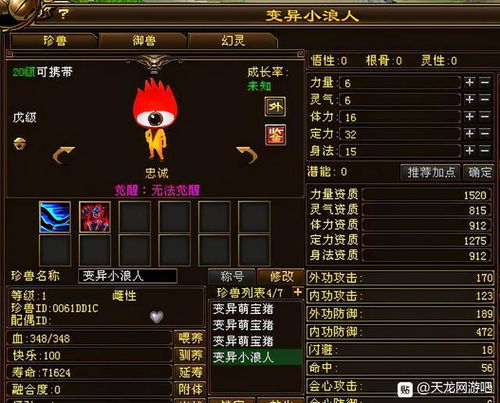 天龙八部发布网 欢迎您，如何快速获取稀有资源与高级攻略？